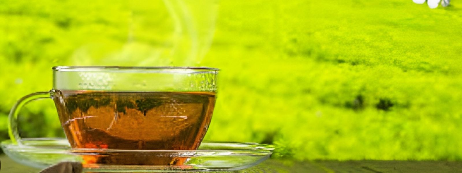 ME Tensions Trigger Surge in Demand for Local Tea